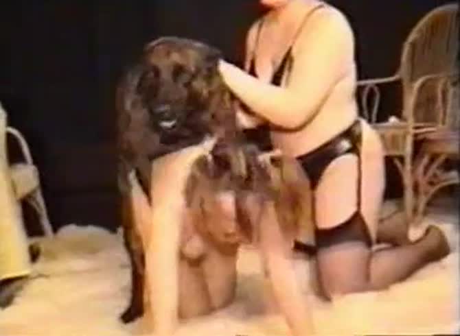 Video :Two MILFs sharing dog dick like a canine dildo